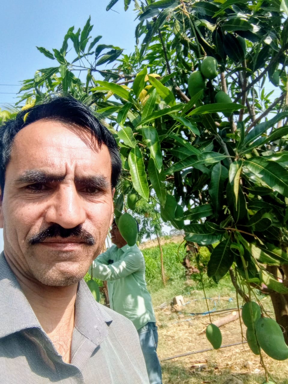 Harshal Jain in a mango orchard